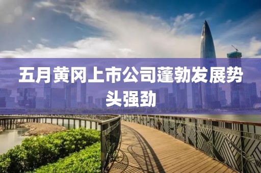 五月黄冈上市公司蓬勃发展势头强劲