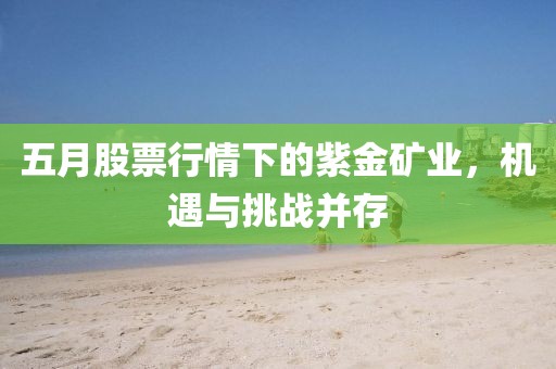 五月股票行情下的紫金矿业，机遇与挑战并存