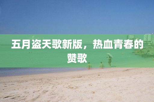 五月盗天歌新版，热血青春的赞歌