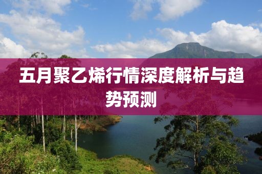 五月聚乙烯行情深度解析与趋势预测