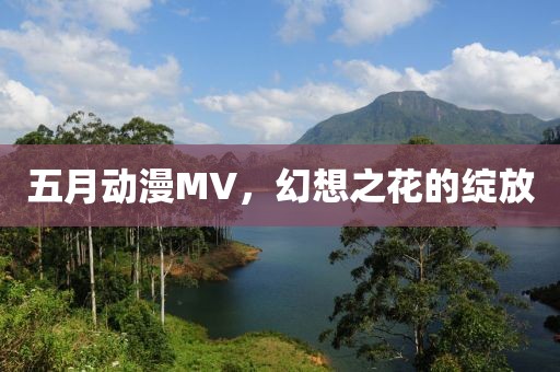 五月动漫MV，幻想之花的绽放