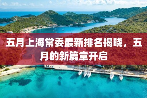 五月上海常委最新排名揭晓，五月的新篇章开启