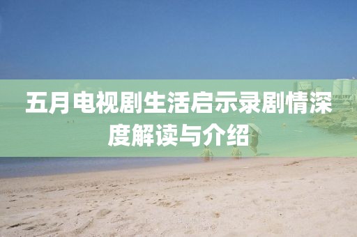 五月电视剧生活启示录剧情深度解读与介绍