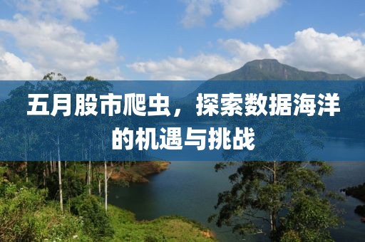 五月股市爬虫，探索数据海洋的机遇与挑战