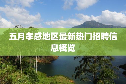 五月孝感地区最新热门招聘信息概览