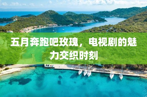 五月奔跑吧玫瑰，电视剧的魅力交织时刻