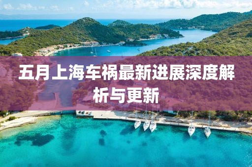 五月上海车祸最新进展深度解析与更新