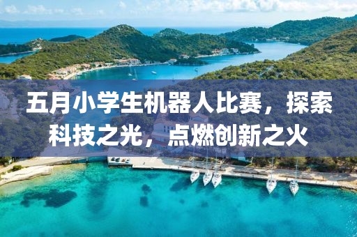 五月小学生机器人比赛，探索科技之光，点燃创新之火