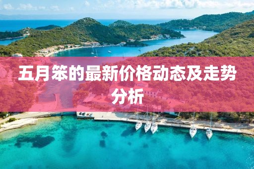 五月笨的最新价格动态及走势分析