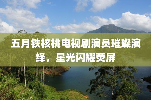 五月铁核桃电视剧演员璀璨演绎，星光闪耀荧屏