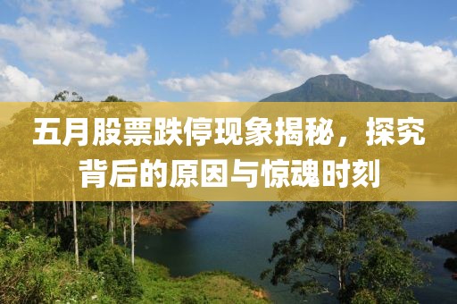 五月股票跌停现象揭秘，探究背后的原因与惊魂时刻