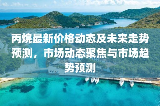 丙烷最新价格动态及未来走势预测，市场动态聚焦与市场趋势预测