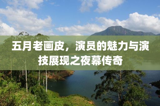五月老画皮，演员的魅力与演技展现之夜幕传奇