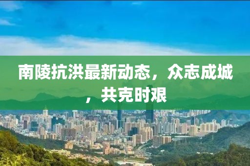 南陵抗洪最新动态，众志成城，共克时艰