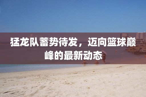 猛龙队蓄势待发，迈向篮球巅峰的最新动态