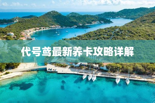 代号鸢最新养卡攻略详解