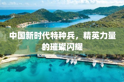 记忆 第11页