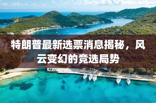 特朗普最新选票消息揭秘，风云变幻的竞选局势