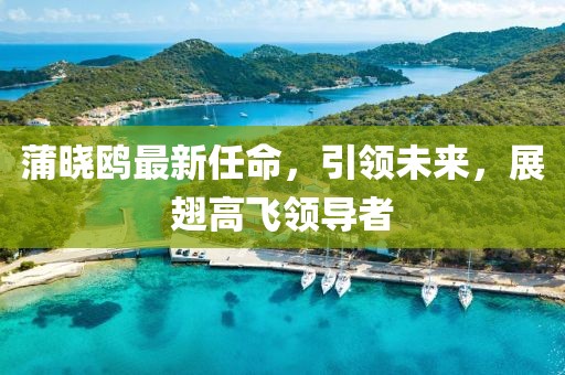 蒲晓鸥最新任命，引领未来，展翅高飞领导者