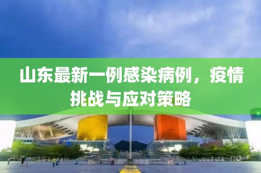 山东最新一例感染病例，疫情挑战与应对策略