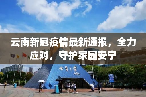 云南新冠疫情最新通报，全力应对，守护家园安宁