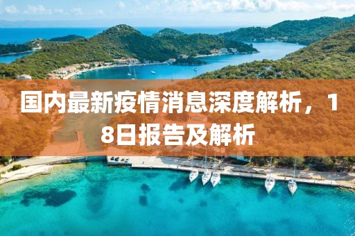 国内最新疫情消息深度解析，18日报告及解析