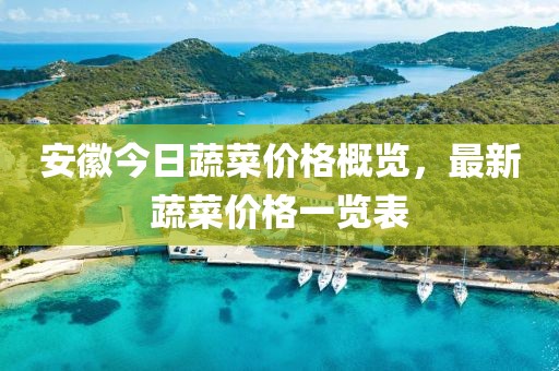安徽今日蔬菜价格概览，最新蔬菜价格一览表