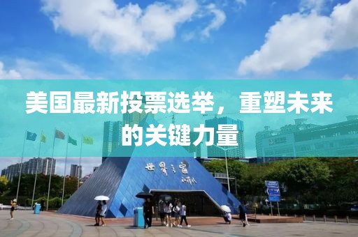 美国最新投票选举，重塑未来的关键力量