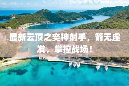 最新云顶之奕神射手，箭无虚发，掌控战场！