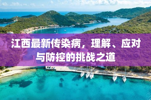江西最新传染病，理解、应对与防控的挑战之道