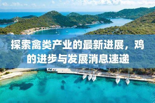 探索禽类产业的最新进展，鸡的进步与发展消息速递