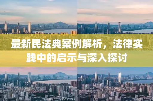 最新民法典案例解析，法律实践中的启示与深入探讨