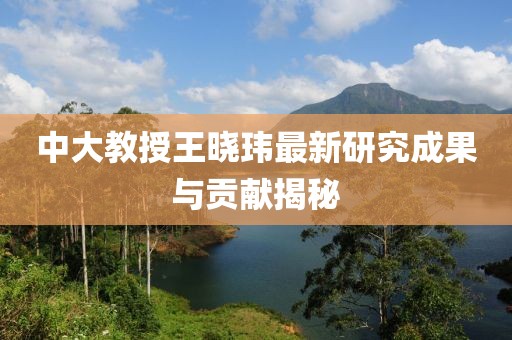 中大教授王晓玮最新研究成果与贡献揭秘