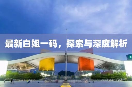 最新白姐一码，探索与深度解析