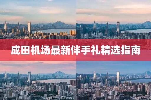 成田机场最新伴手礼精选指南