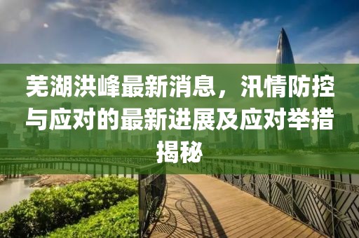 芜湖洪峰最新消息，汛情防控与应对的最新进展及应对举措揭秘