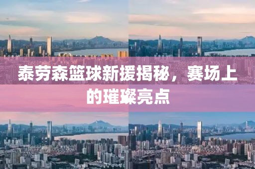 泰劳森篮球新援揭秘，赛场上的璀璨亮点
