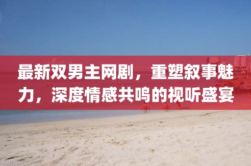最新双男主网剧，重塑叙事魅力，深度情感共鸣的视听盛宴