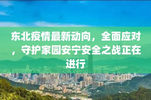 东北疫情最新动向，全面应对，守护家园安宁安全之战正在进行