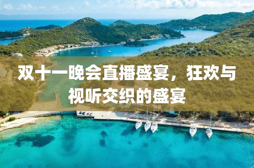 双十一晚会直播盛宴，狂欢与视听交织的盛宴