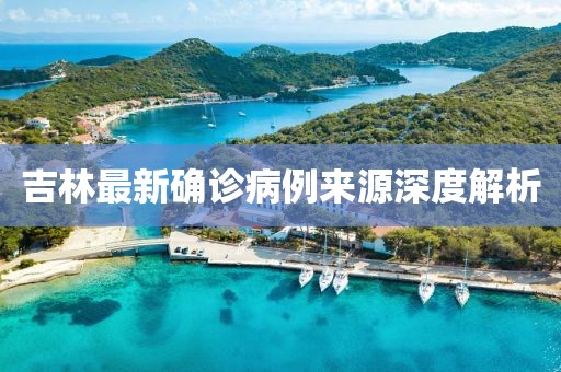 吉林最新确诊病例来源深度解析