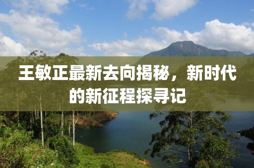 王敏正最新去向揭秘，新时代的新征程探寻记