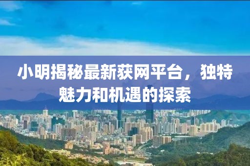 小明揭秘最新获网平台，独特魅力和机遇的探索