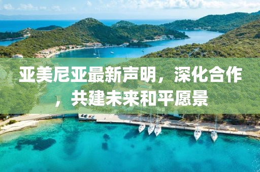 亚美尼亚最新声明，深化合作，共建未来和平愿景