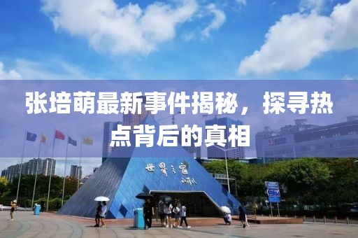 张培萌最新事件揭秘，探寻热点背后的真相