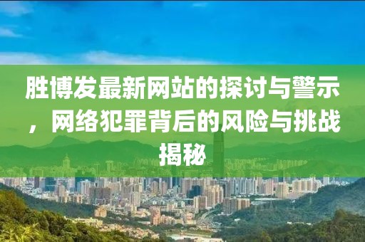 胜博发最新网站的探讨与警示，网络犯罪背后的风险与挑战揭秘