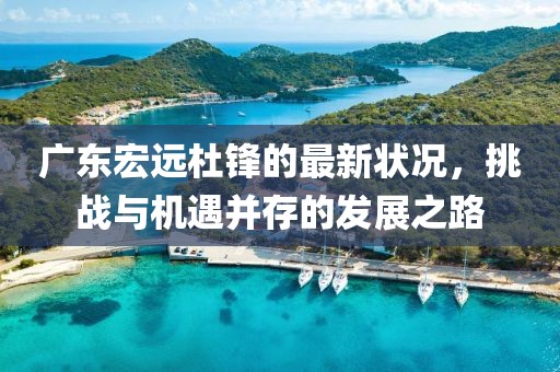 广东宏远杜锋的最新状况，挑战与机遇并存的发展之路