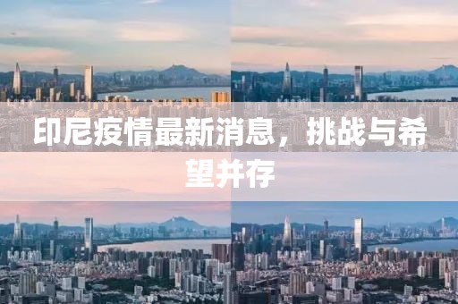 印尼疫情最新消息，挑战与希望并存