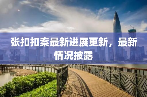 张扣扣案最新进展更新，最新情况披露