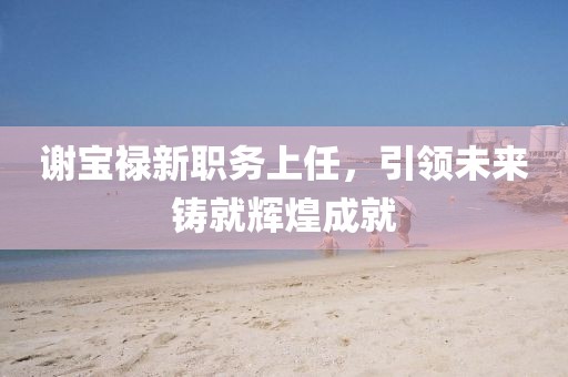 谢宝禄新职务上任，引领未来铸就辉煌成就